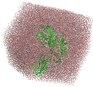Simulation of a mutation‘s effect on the protein structure