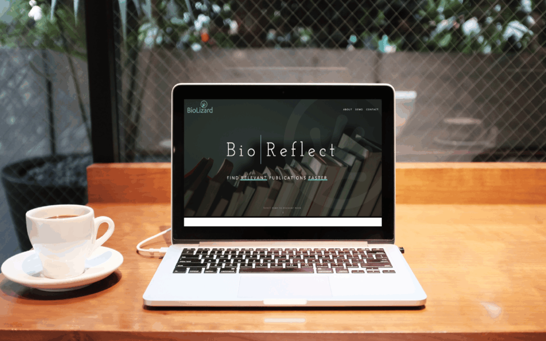BioReflect – your personal literature study assistant