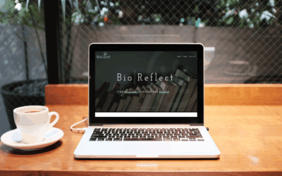 BioReflect – your personal literature study assistant