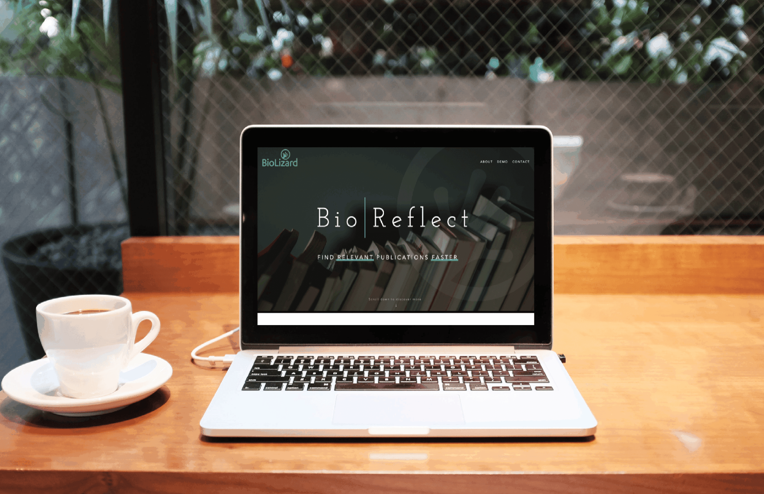 BioReflect- Your personal literature study assistant