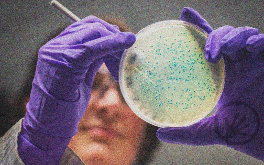 The great potential of microbiome analysis
