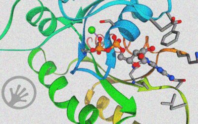 Machine learning for protein engineering and design: Beyond AlphaFold