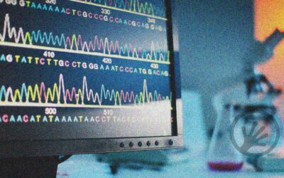 Strategic AI for single cell sequencing & multi-omics advances