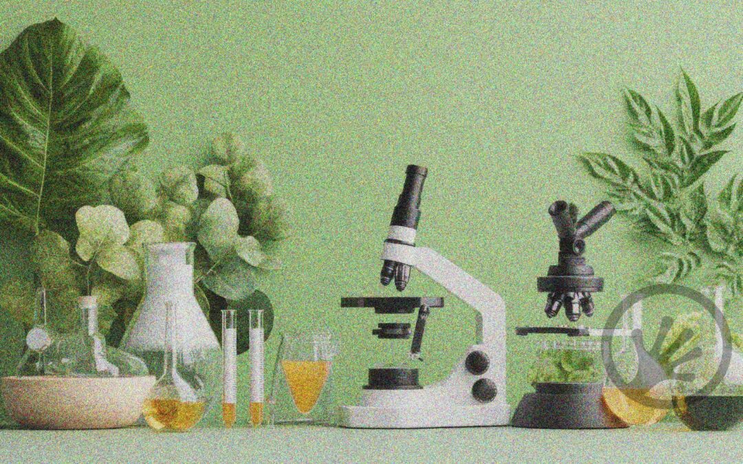 Rooted in Science: The importance of plant microbiomes