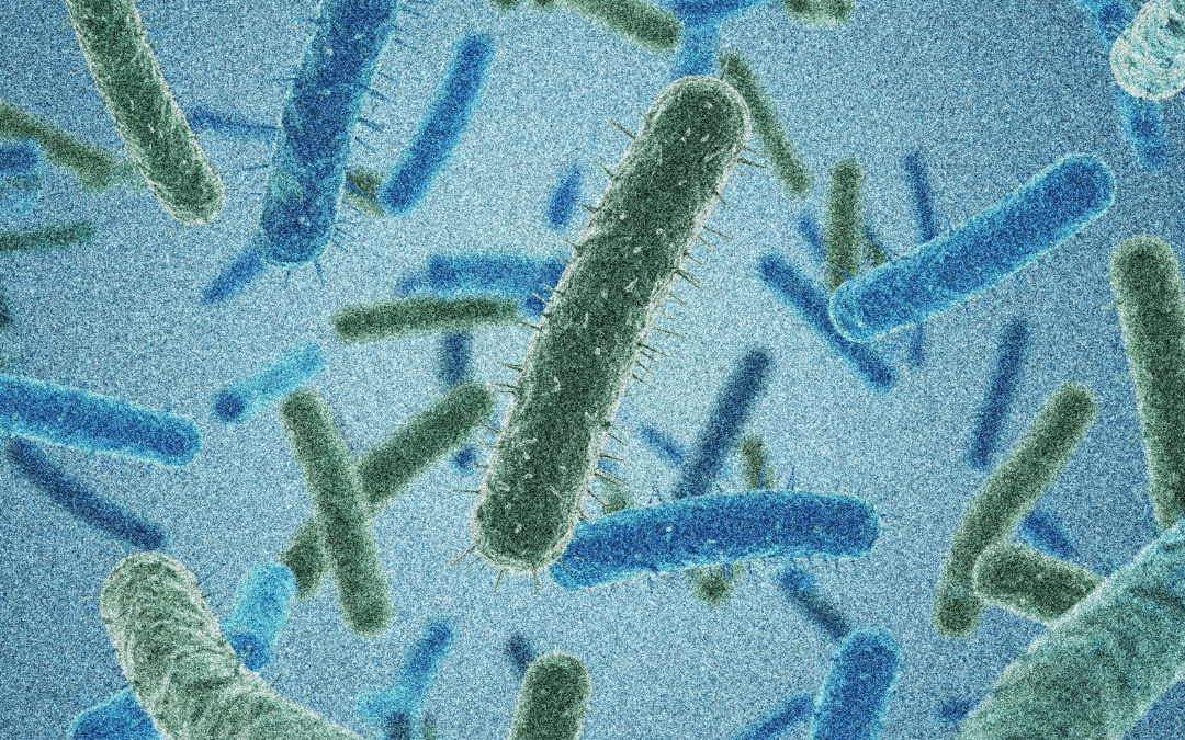 Inferring causality of the microbiome in gastric ulceration