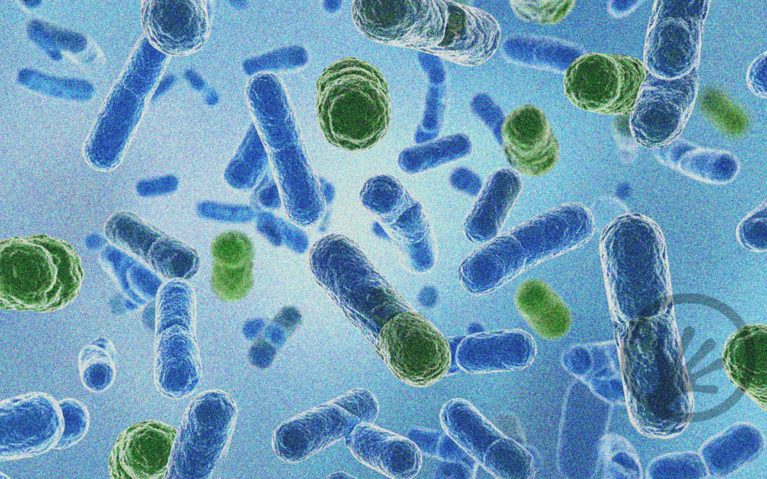 Microbial network analysis: How to unravel interactions between taxa
