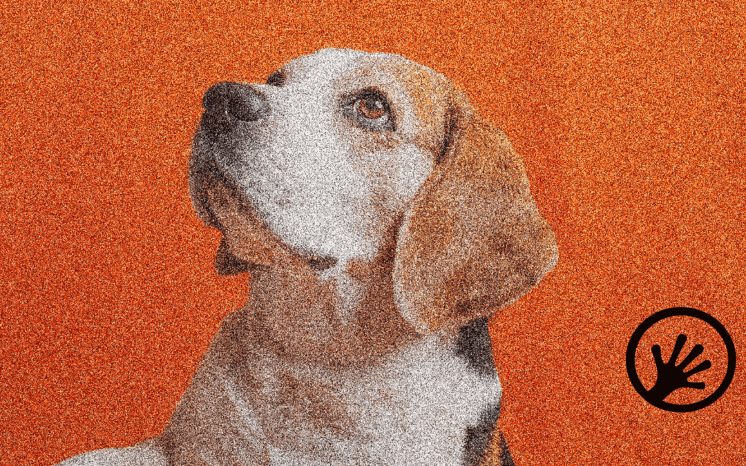 Omics‑driven diagnostics in companion animals