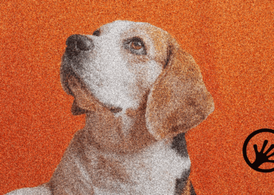 Omics‑driven diagnostics in companion animals