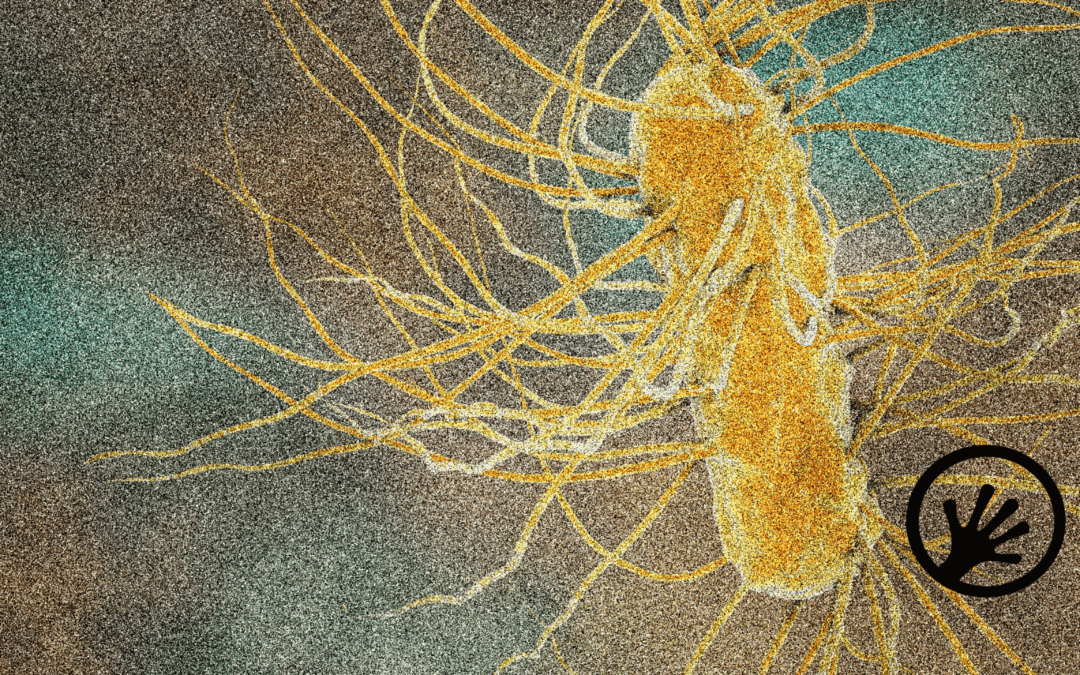 ML‑based antimicrobial activity & toxicity prediction