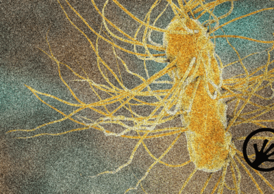 ML‑based antimicrobial activity & toxicity prediction