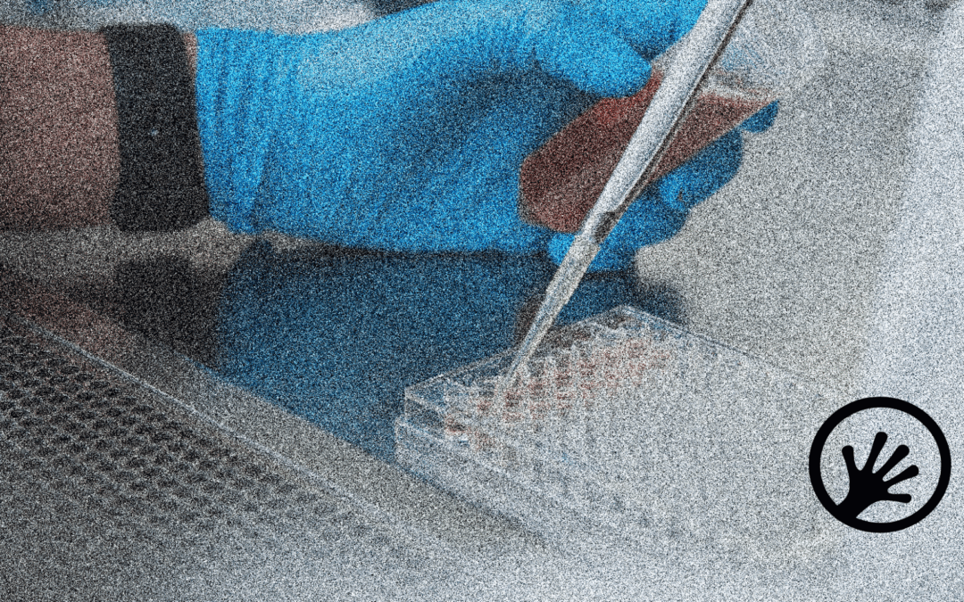 Custom single‑cell analytic pipeline & visualization toolkit