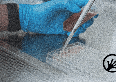 Automating antibody discovery: from data to development