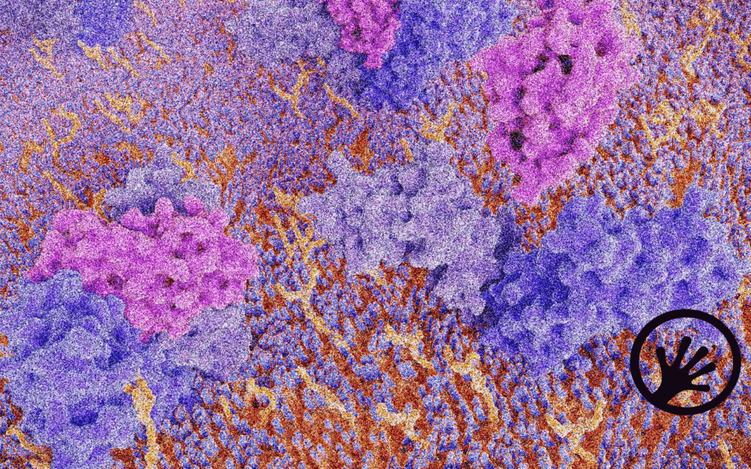 Characterising inflammation using spatial transcriptomics