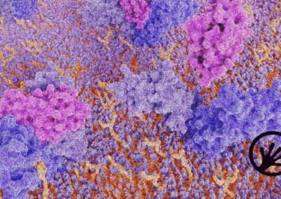 Unlocking immunogenicity insights from clinical reports with NLP