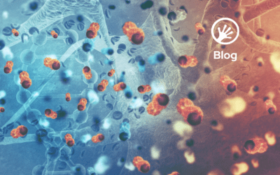 How spatial biology improves clinical trial success in oncology