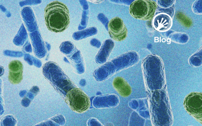 Single-cell vs. bulk sequencing: which one to use when?