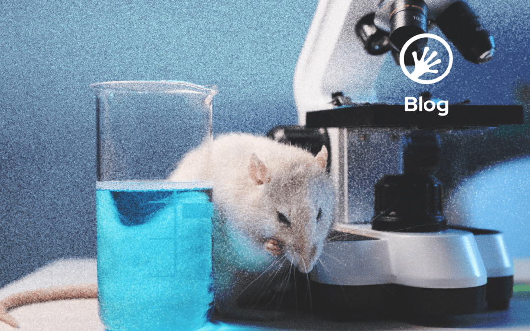 Beyond animal testing in drug development